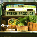 organic farm produce