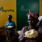 Nigeria shea butter market