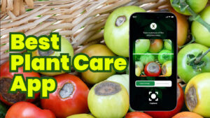 Best Plant care app